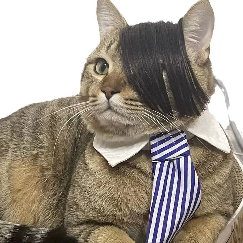 Black imitation braid cat wig for pet dress up and costumes