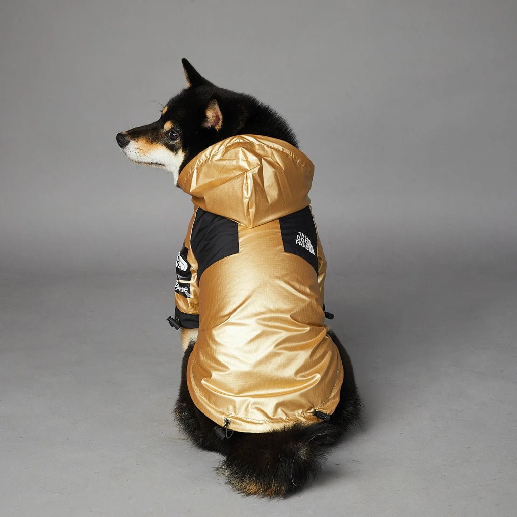 Gold polyester windproof rainproof dog raincoat shell jacket for large dogs