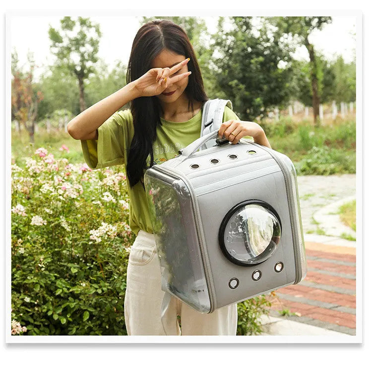Transparent foldable EVA cat backpack carrier in black with space capsule viewing window