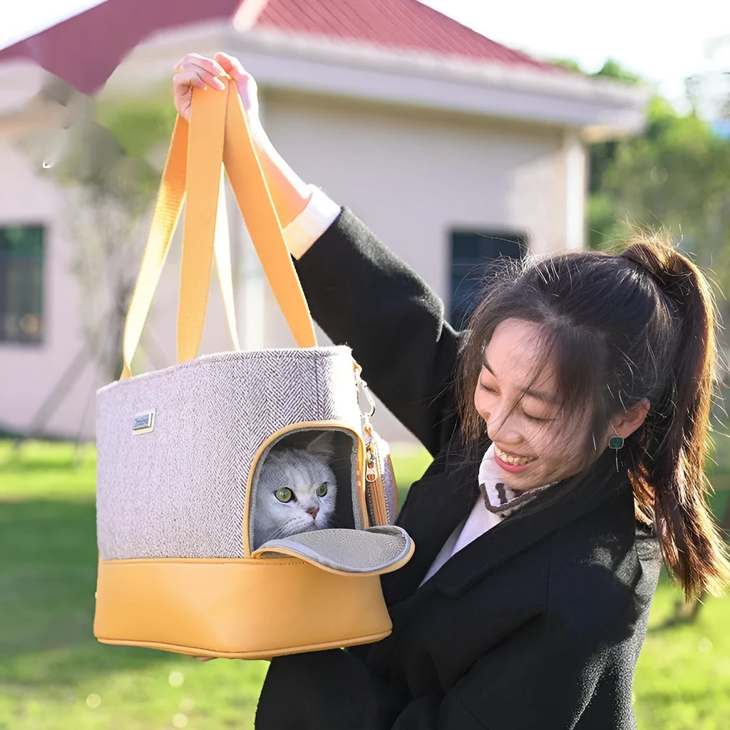 Portable capsule pet backpack for cats and small dogs with breathable design