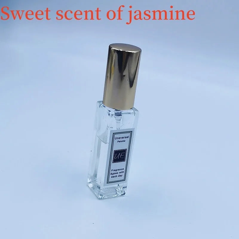 Car aromatherapy stone pendant with essential oil bottle and gift box packaging