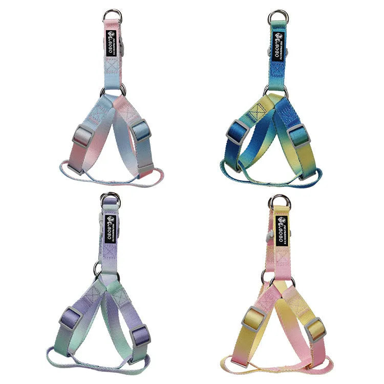 Gradient colour dog leash set with reflective nylon and adjustable chest strap in pink blue pattern