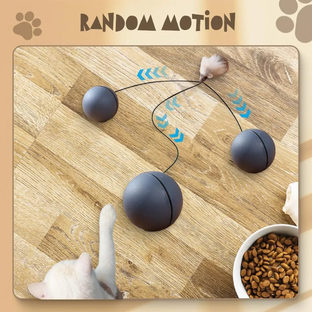 Automatic self-rolling blue and orange ball toy for cats and dogs on indoor floor