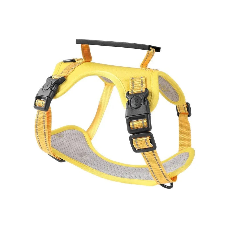 Polyester dog chest harness and lead set in various colours including red, blue, and yellow.
