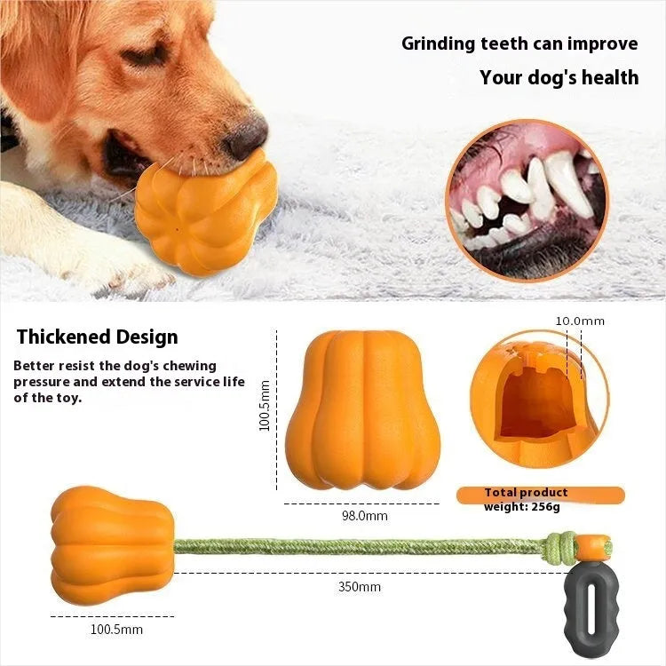 Orange pumpkin-shaped plastic dog chew toy with a blue rope attached for tug and fetch games.