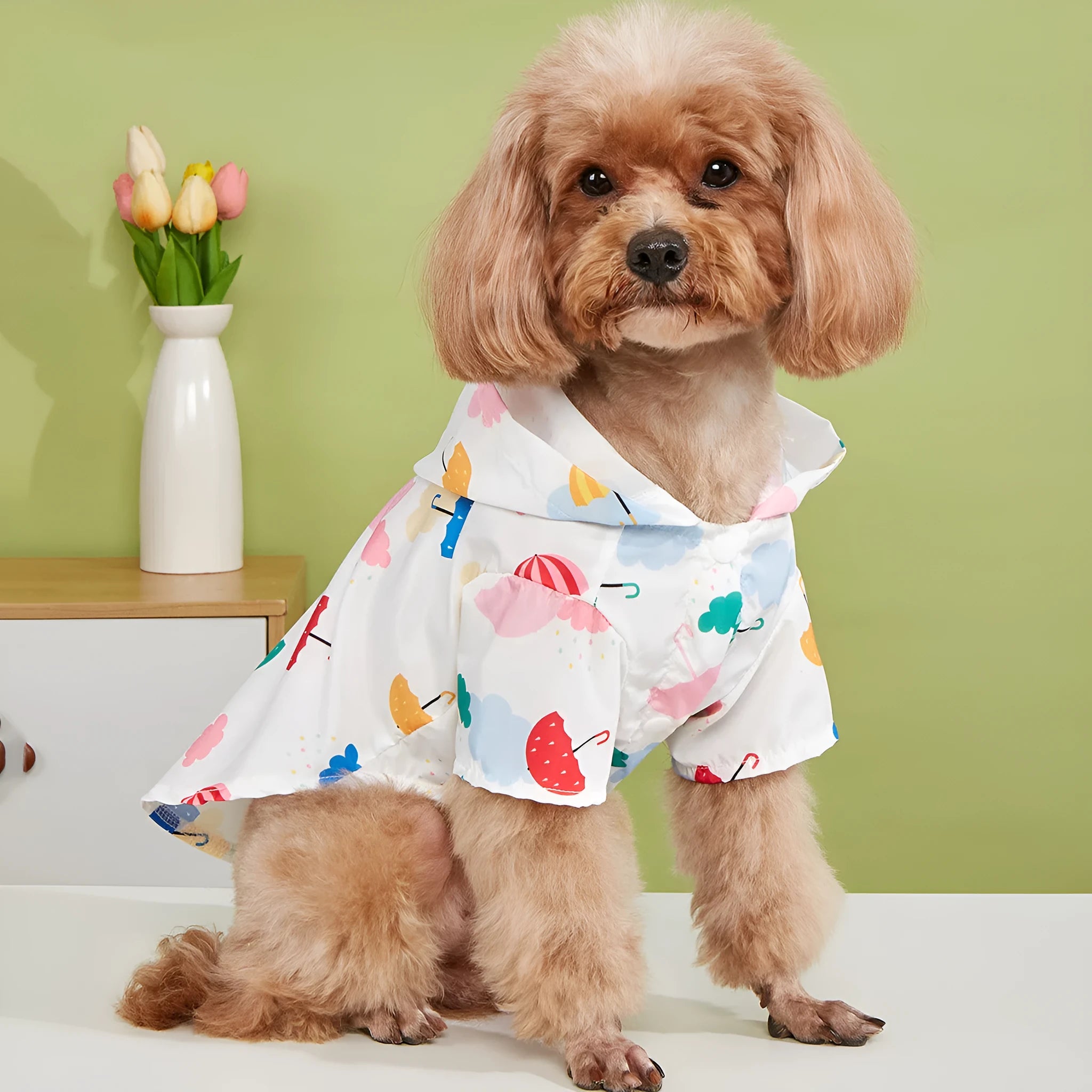 Colourful cartoon umbrella pattern dog raincoat made from polyester fabric.