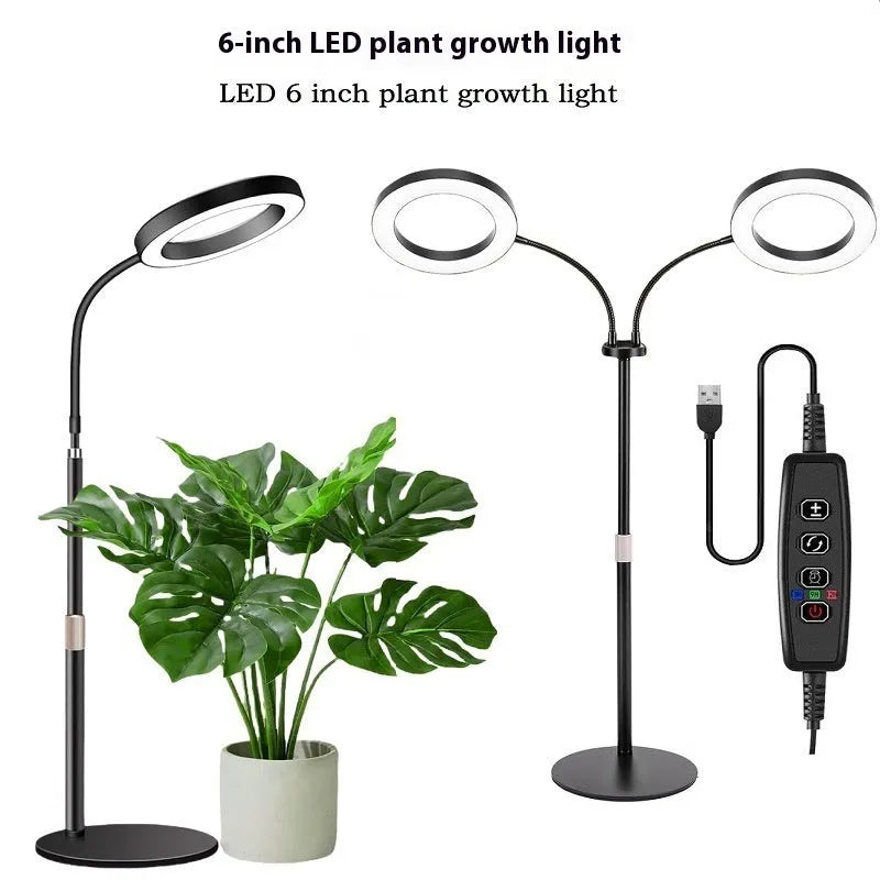 6-inch Angel Ring retractable floor standing grow light with aluminium holder next to indoor plants.