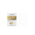 Lip Rich Moist Deep Nourishing lip sheet mask stickers 6 pairs box