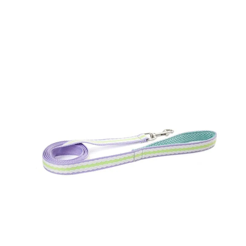 Lightweight dog harness and 1.4-metre walking rope set in various colours on a size chart