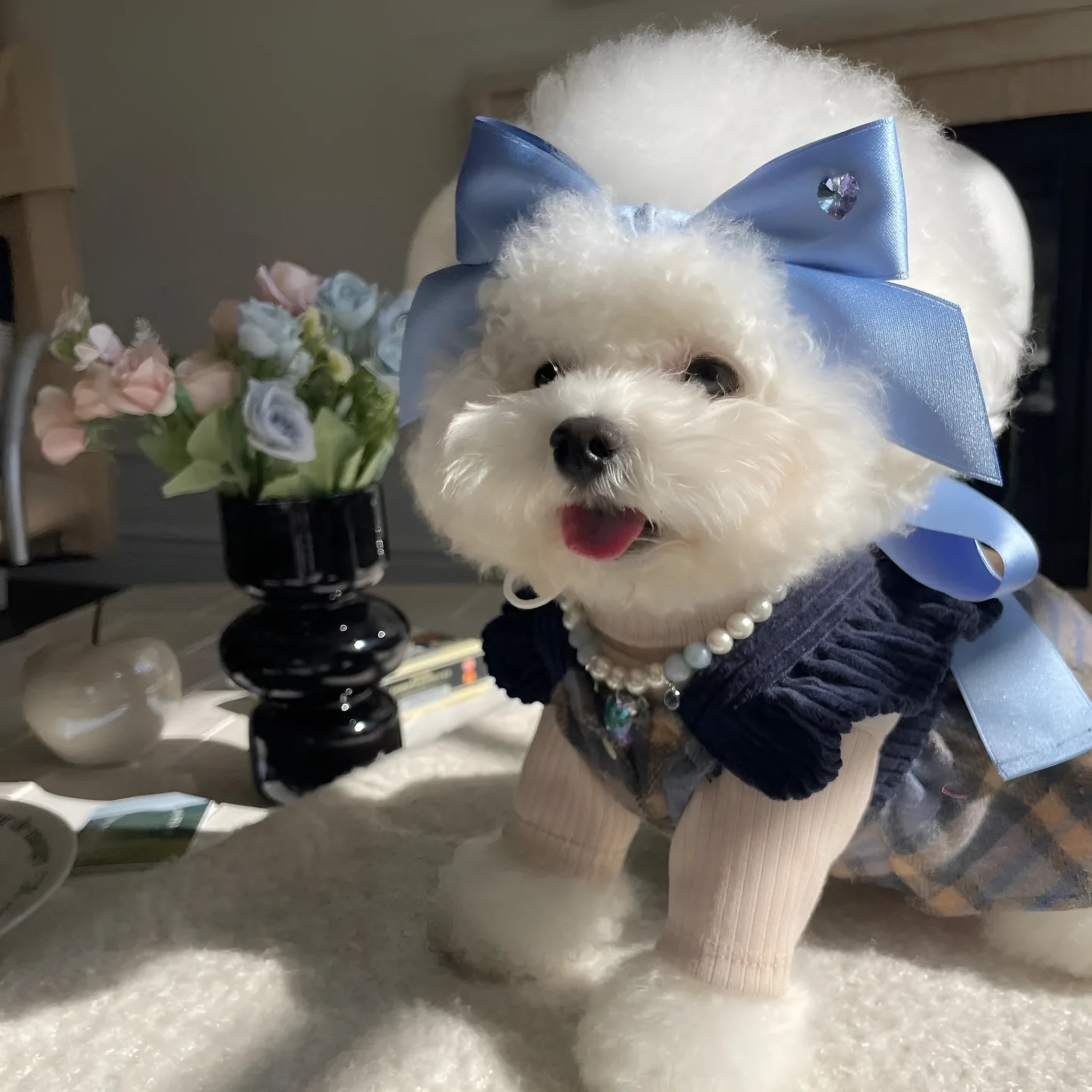 Blue adjustable dog hair band headband with a princess-style bow on a small dog.