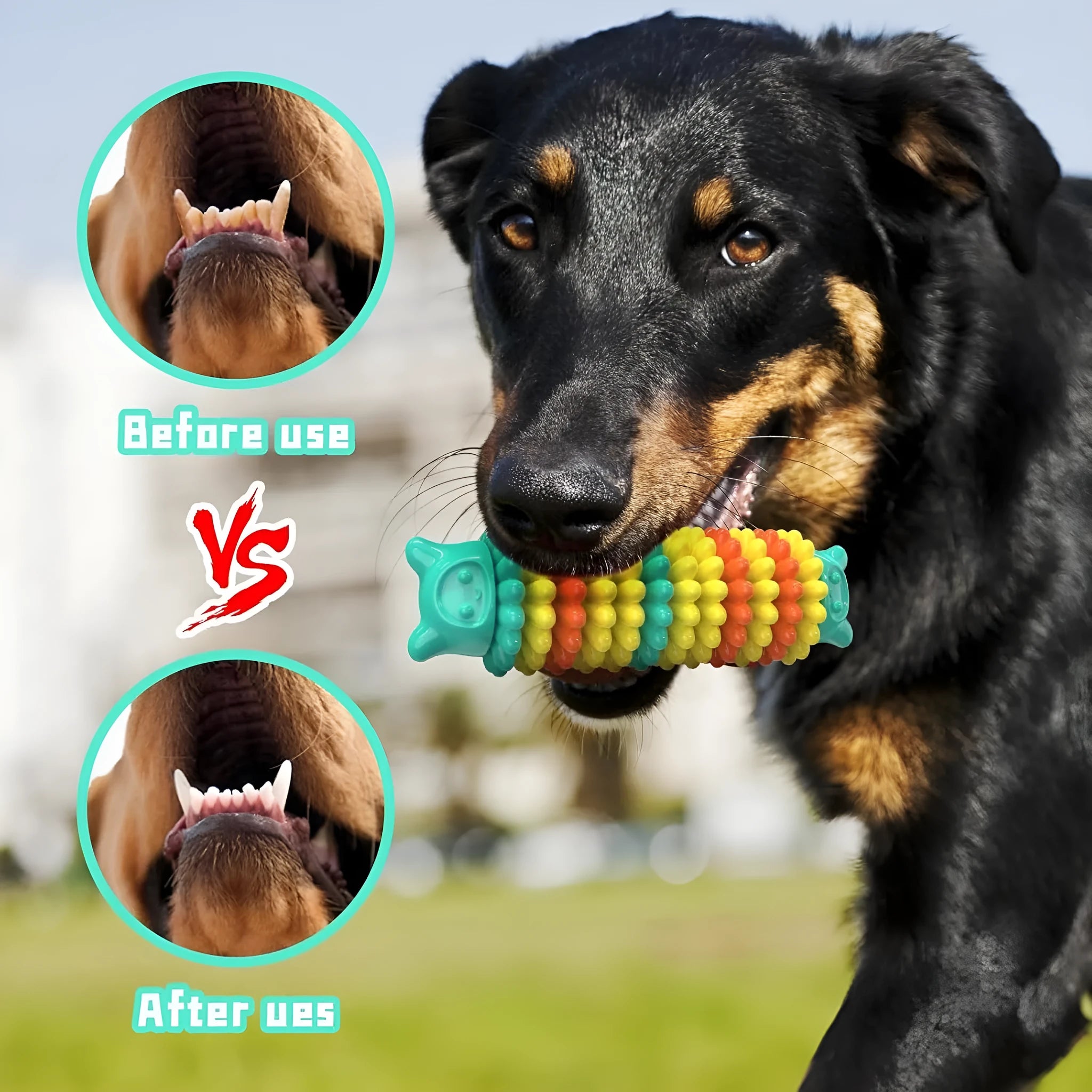 Blue caterpillar-shaped dog chew toy made from natural rubber for aggressive chewers.