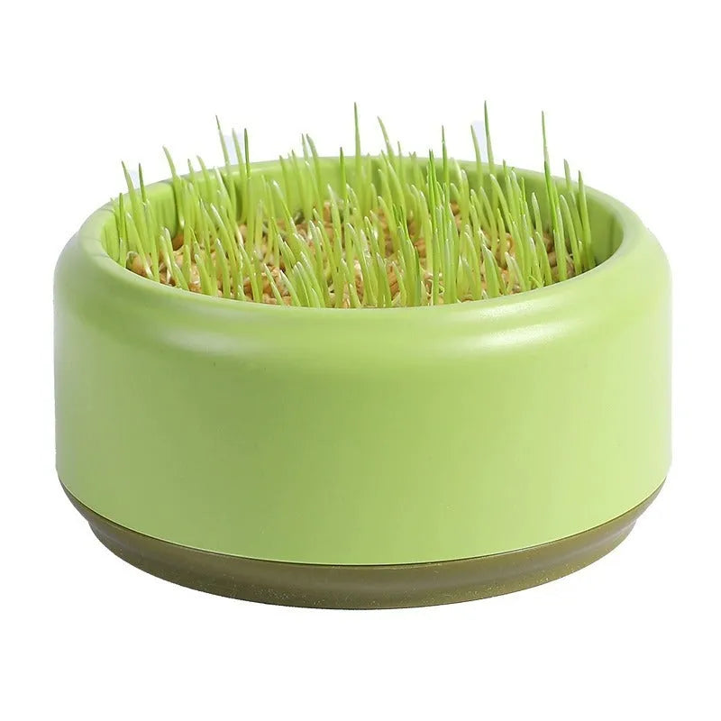 Blue, green, and yellow hydroponic cat grass growing cups with packets of seeds.