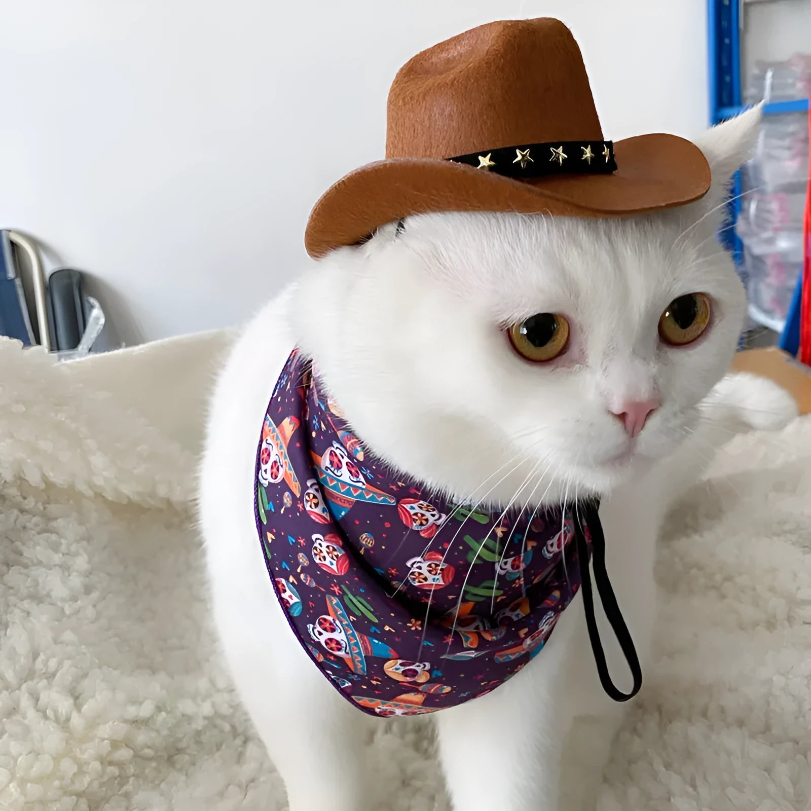 British style cat cowboy hat in brown with various trim options including ribbons and labels