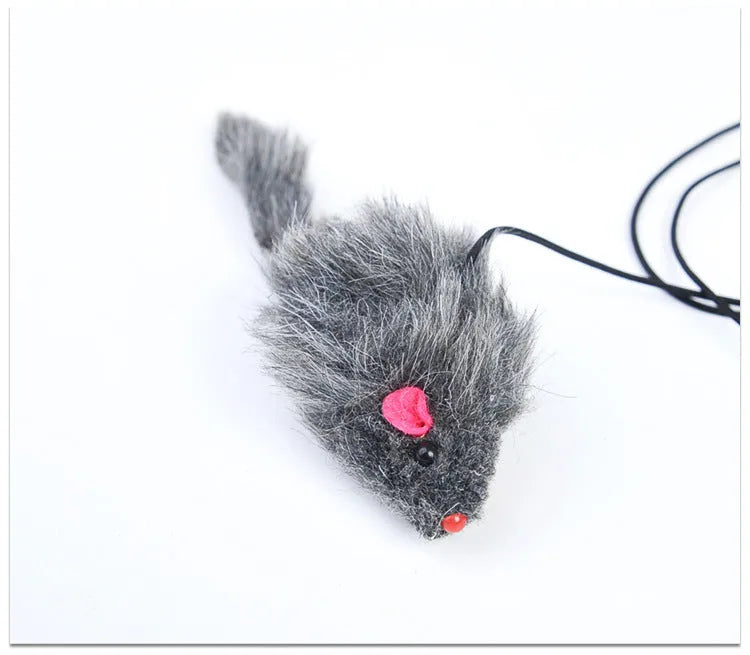 Pet telescopic hanging door cat toy with mouse plush on elastic rope attached to a door frame