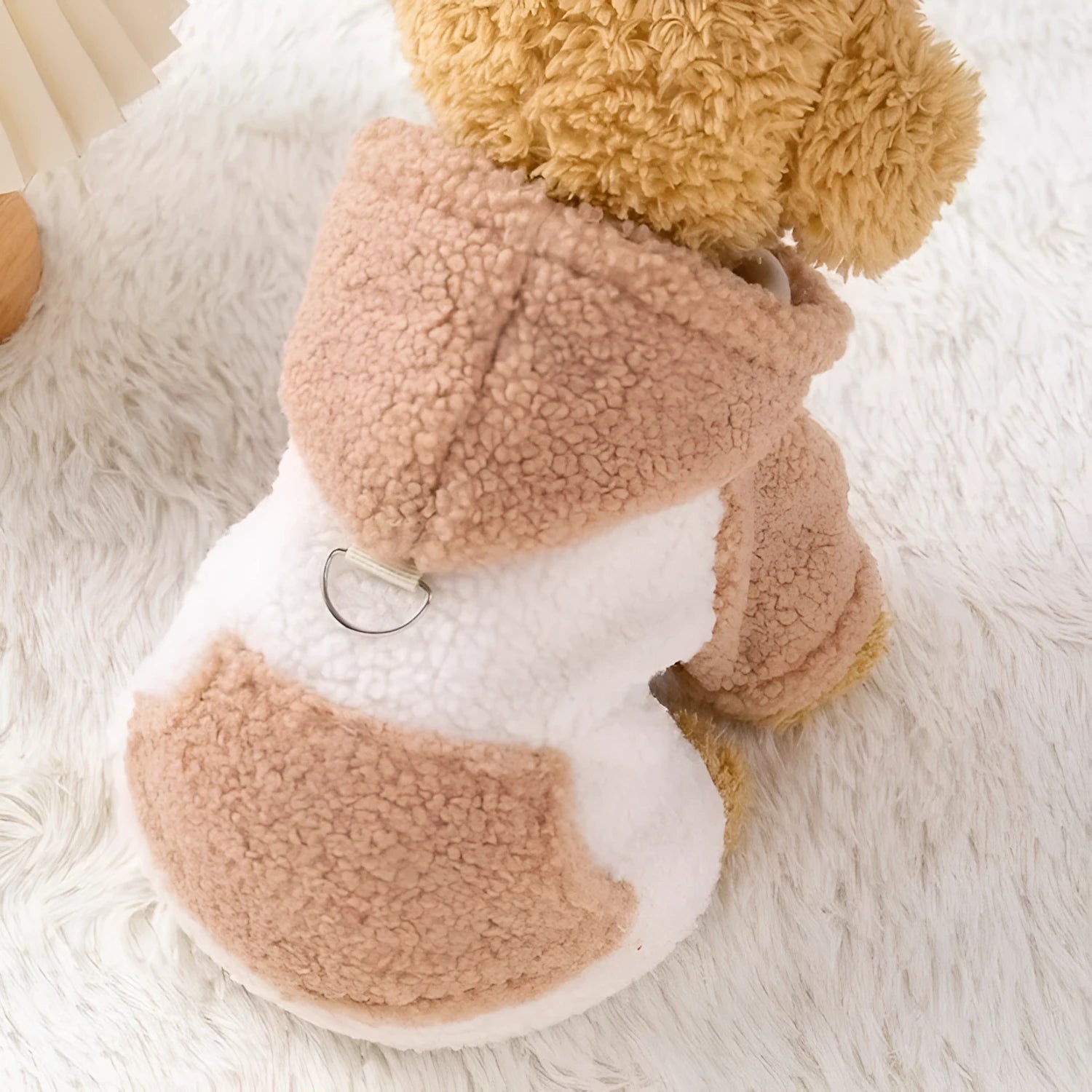 Blue thickened cotton pet hooded coat shown on dog model with size range displayed