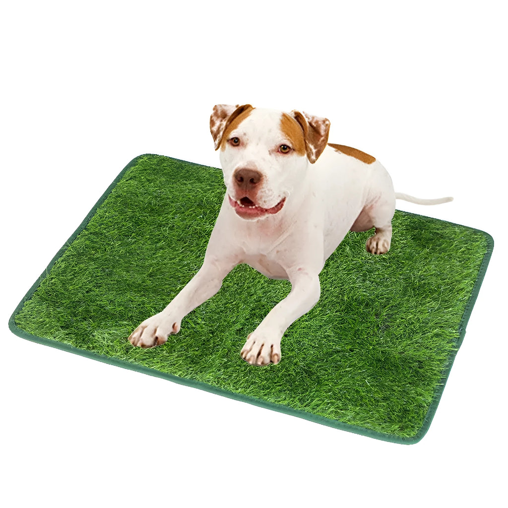 Green dog grass pee pad with realistic lawn appearance for pet toilet training