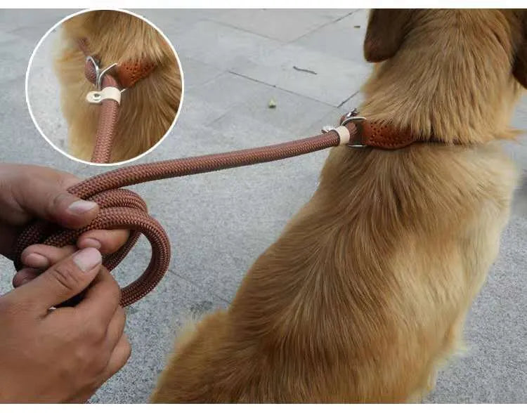 Brown nylon P-chain dog leash with hand holding rope measuring 2.1 metres long