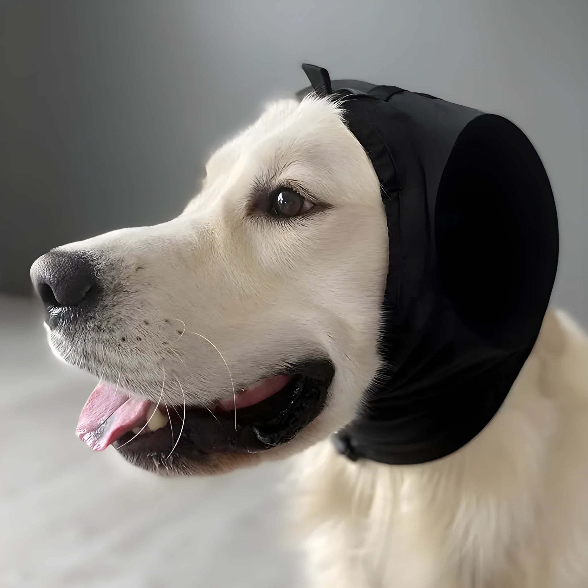 Black nylon dog earmuffs for hearing protection from thunder and fireworks, side view