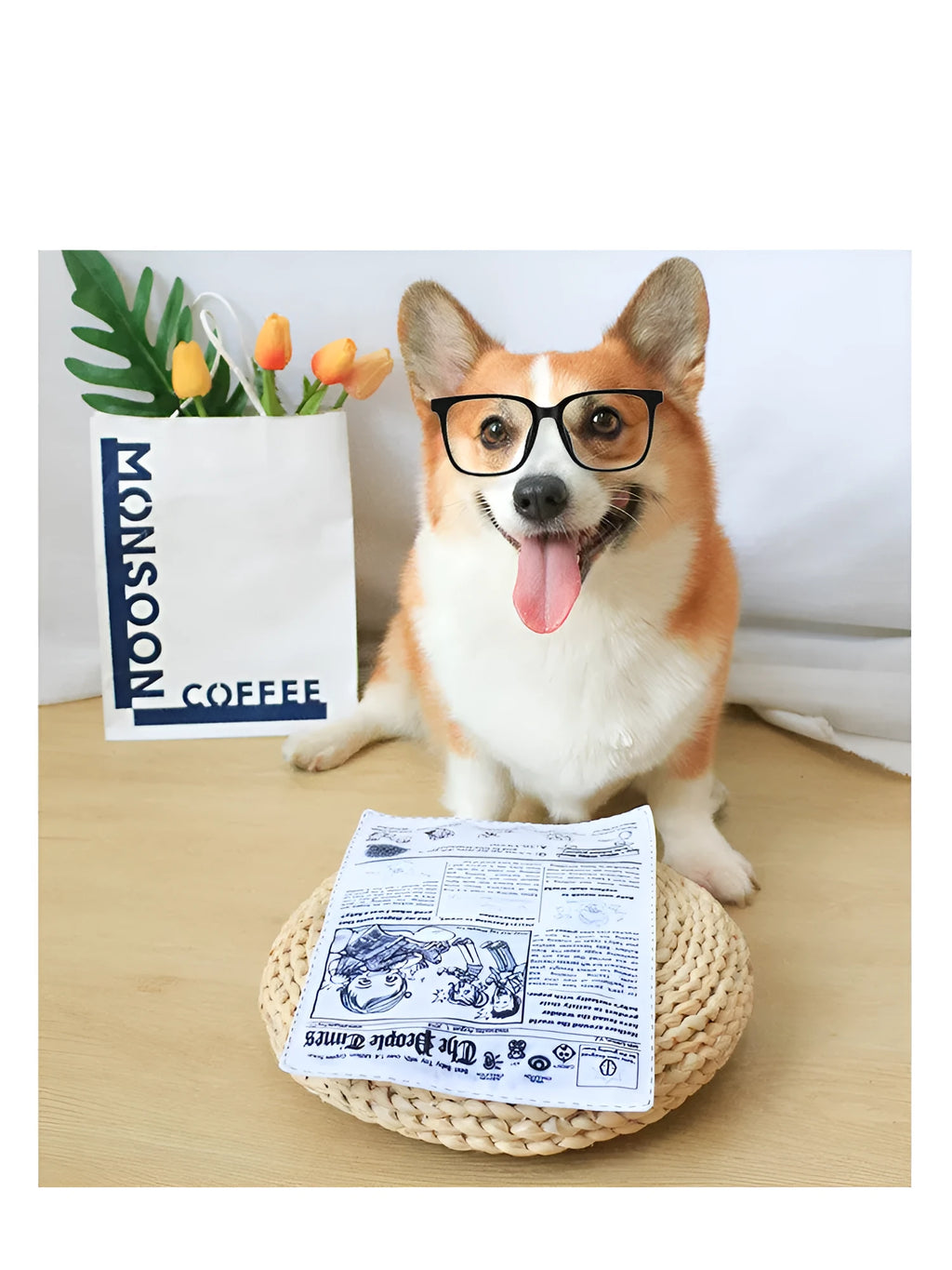 Pet Dog Sound Paper Newspaper Toy crinkle cloth toy in paper newspaper colour on plain background