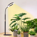 6-inch Angel Ring retractable floor standing grow light with aluminium holder next to indoor plants.