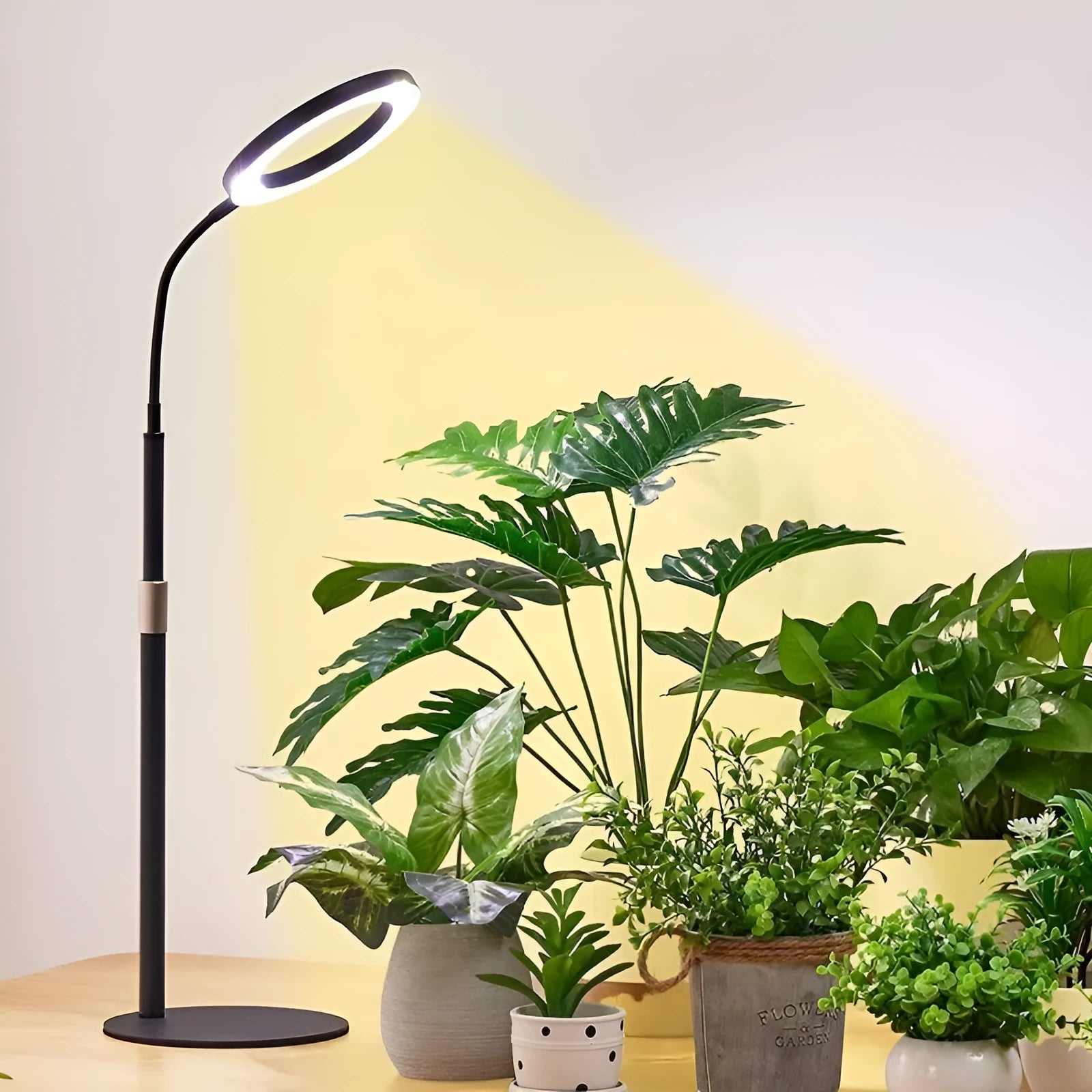 6-inch Angel Ring retractable floor standing grow light with aluminium holder next to indoor plants.
