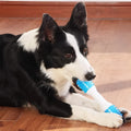 Dual-colour puppy teething chew toy for gentle chewers made from TPR and PU materials.