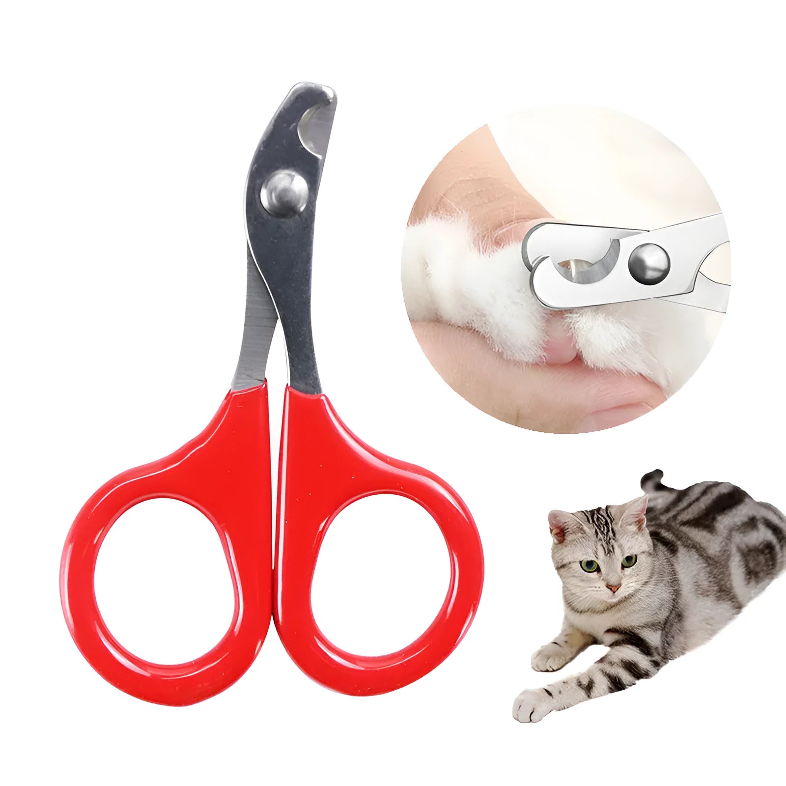 Pet nail clippers with stainless steel blades and coloured plastic rubber handle for dog cat grooming