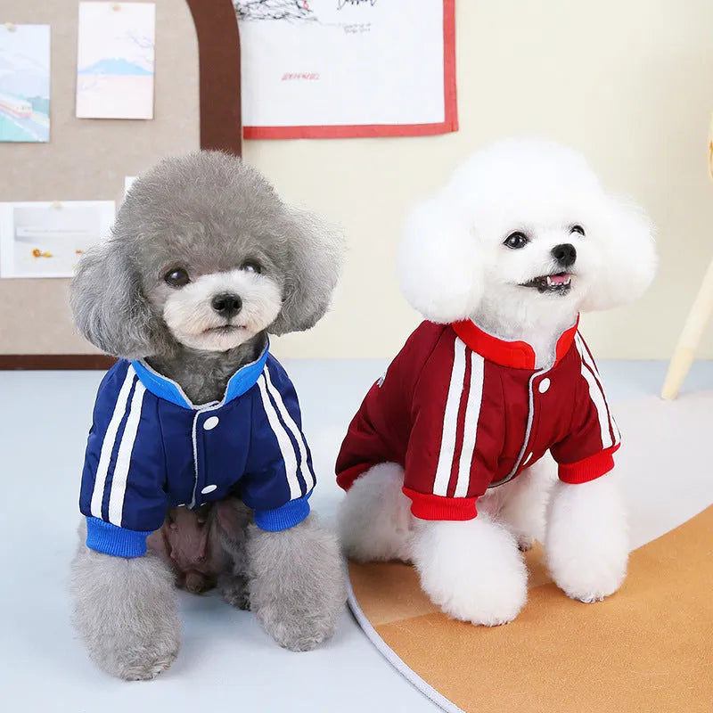 Red and blue V-shaped cotton dog coat shown in multiple sizes