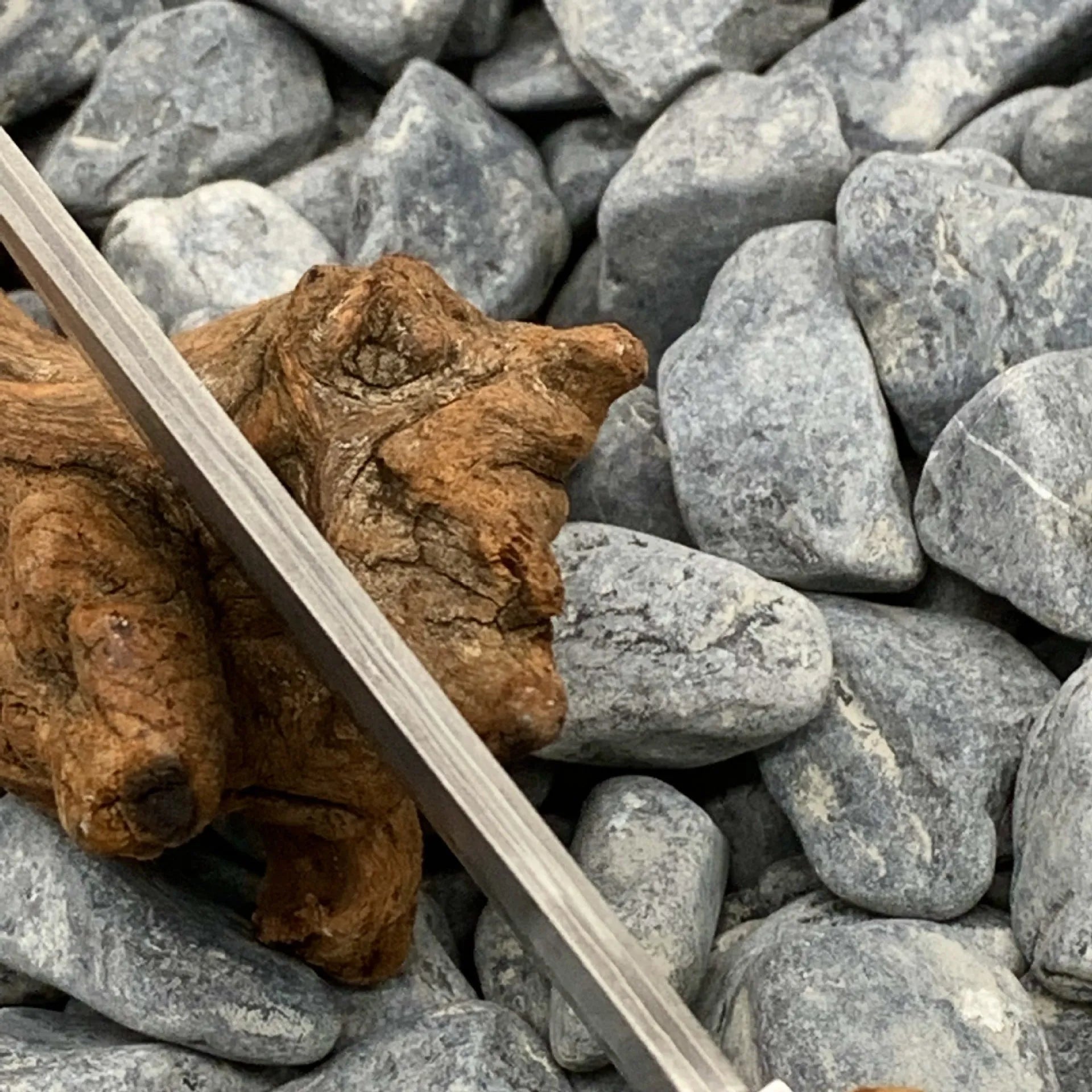 White Shadow Damascus steel camping short knife with Thuja wood handle, 18cm long.