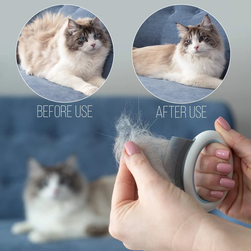 Blue plastic pet grooming comb for removing loose hair from cats and dogs on a white background.