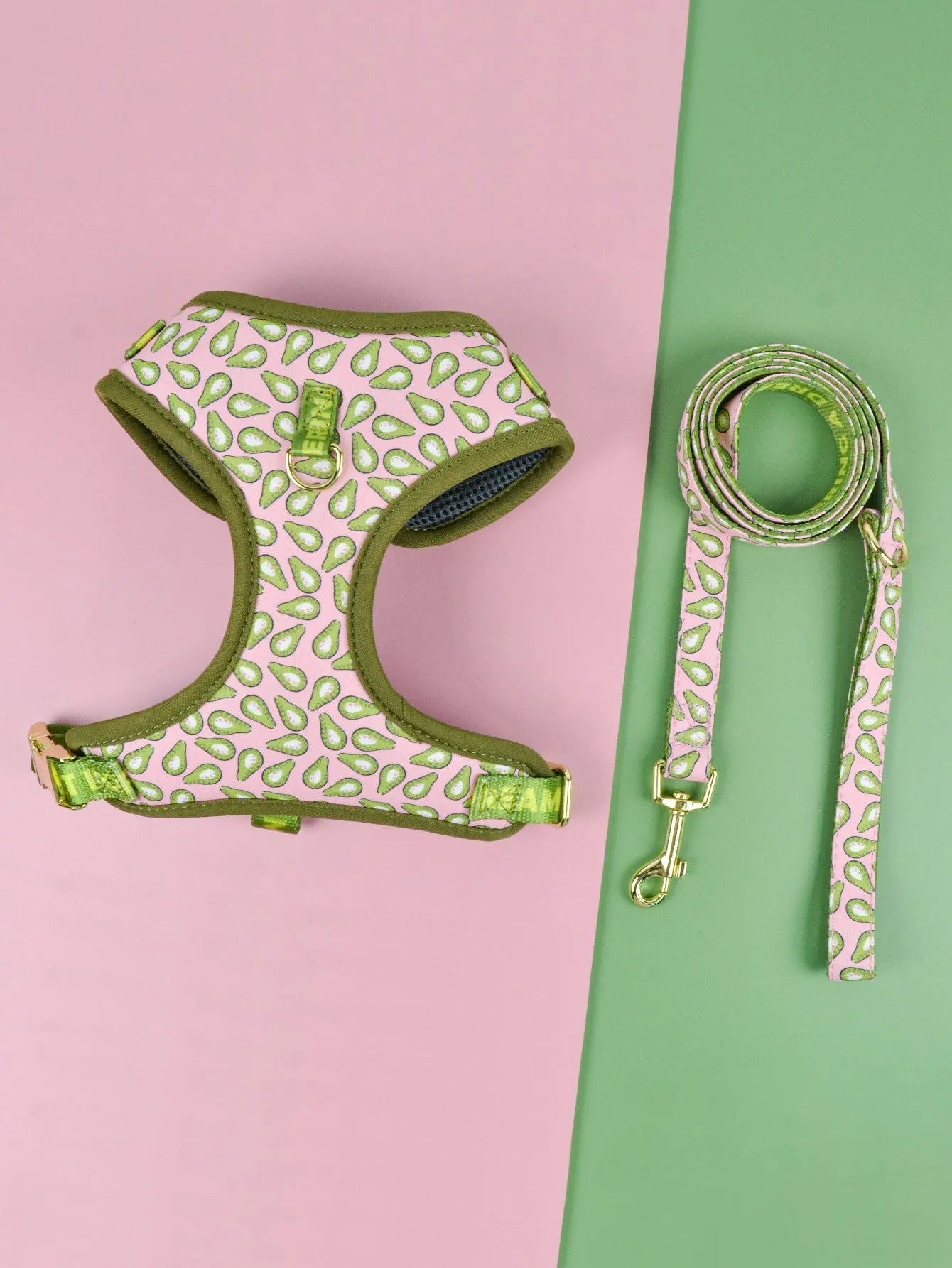 Summer colours dog harness and leash set for medium large dogs chest-back design