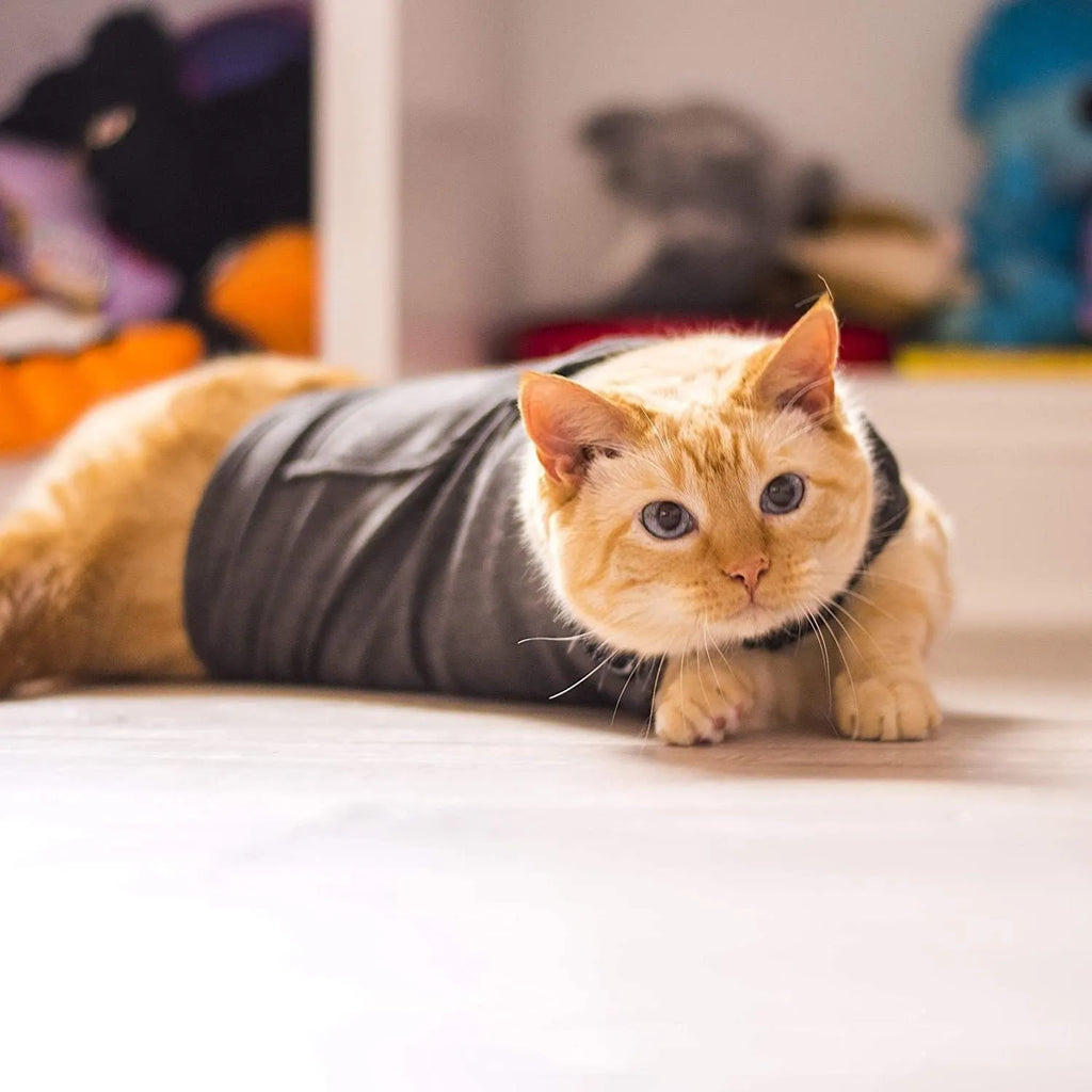 Dark gray polyester pet clothing vest for dogs and cats, summer lightweight design with adjustable fit