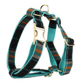 Green cloth dog collar and leash set with matching vest and bow accessory in four-piece pet package