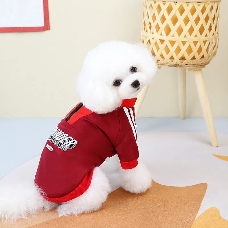 Red and blue V-shaped cotton dog coat shown in multiple sizes
