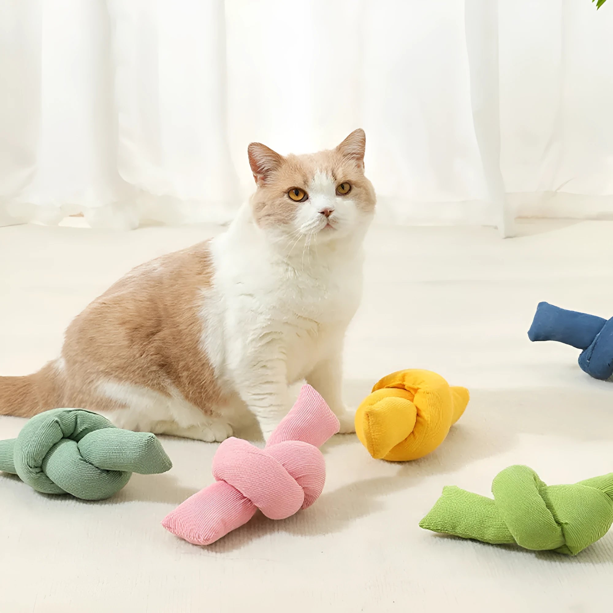 White knotted cotton rope dog toy for chewing and tug of war.