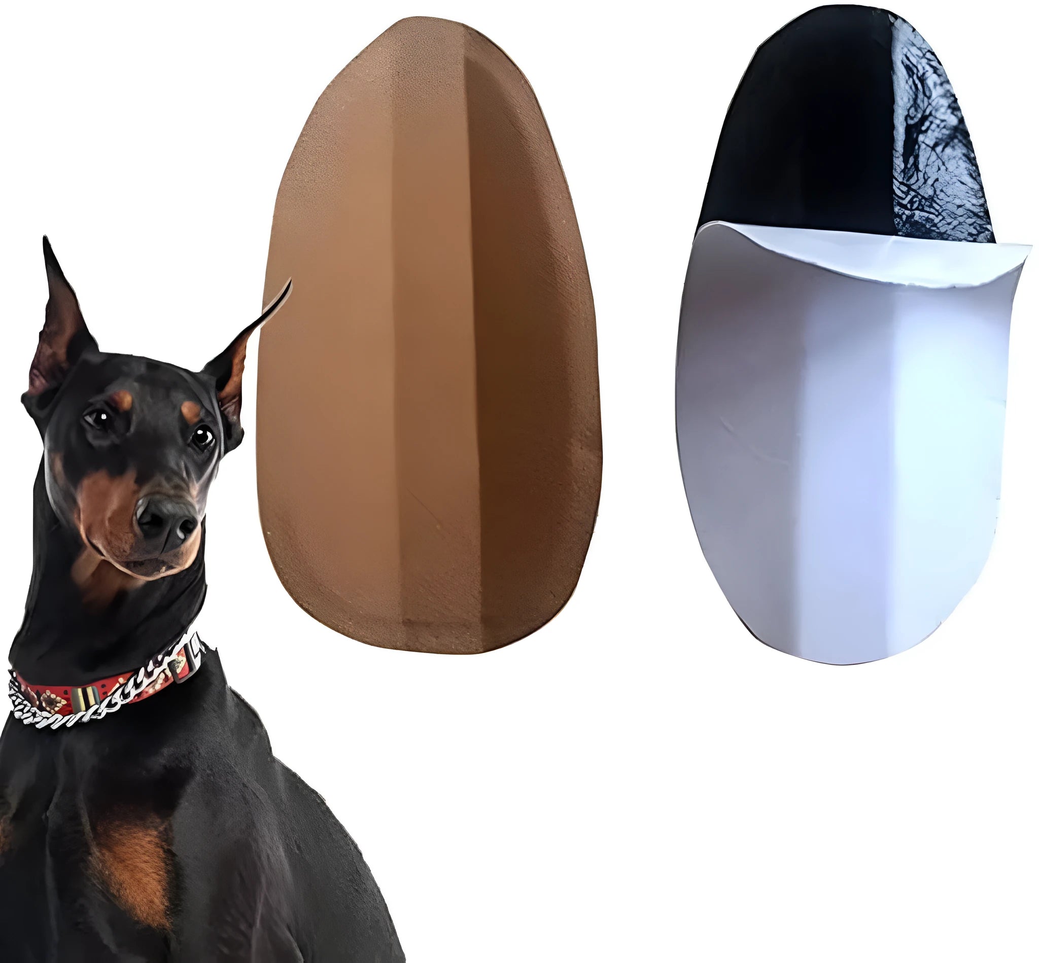 Pack of dog ear support stickers in various sizes for Doberman, Corgi, and Sheltie puppies