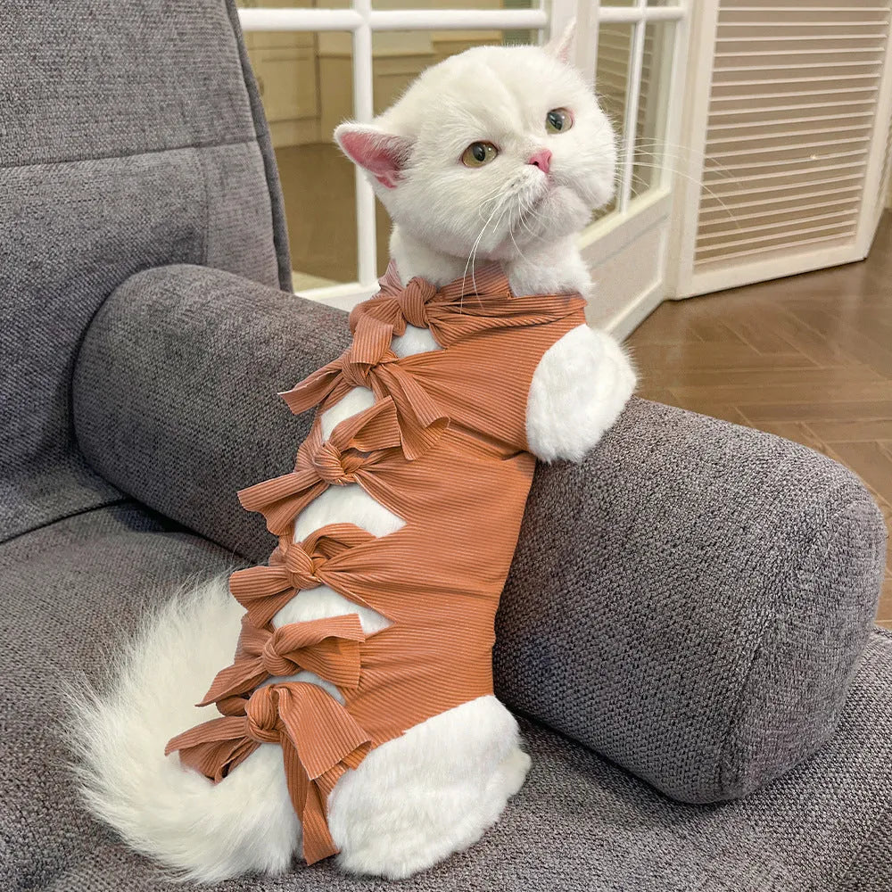 Blue lace-up back cat recovery suit for post-sterilisation care on a grey cat