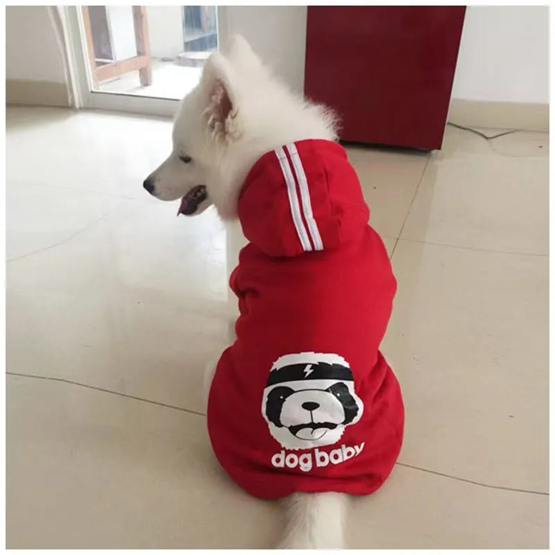 Dog wearing a polyester two-legged sweatshirt in blue, with back length and chest size measurements visible.