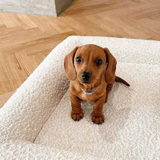 Beige rectangular cloth dog sofa bed for medium-sized dogs on a wooden floor.