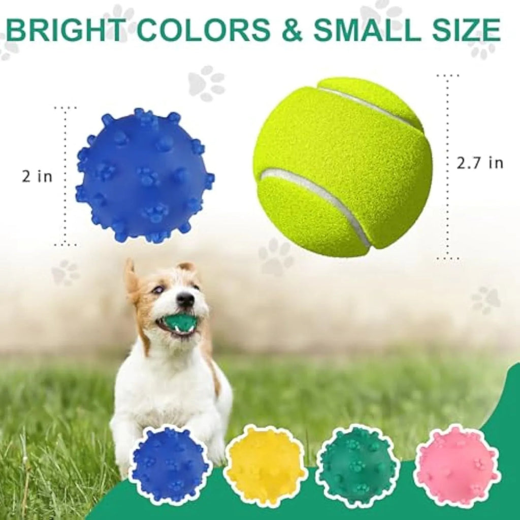 Bright blue, green, pink and yellow spiked squeaky dog balls for small breeds on a grass background.