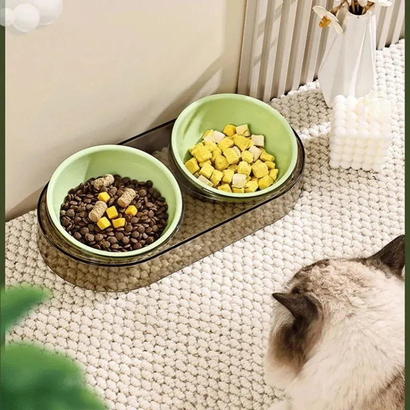 Transparent plastic double cat and dog bowl with two compartments for food and water