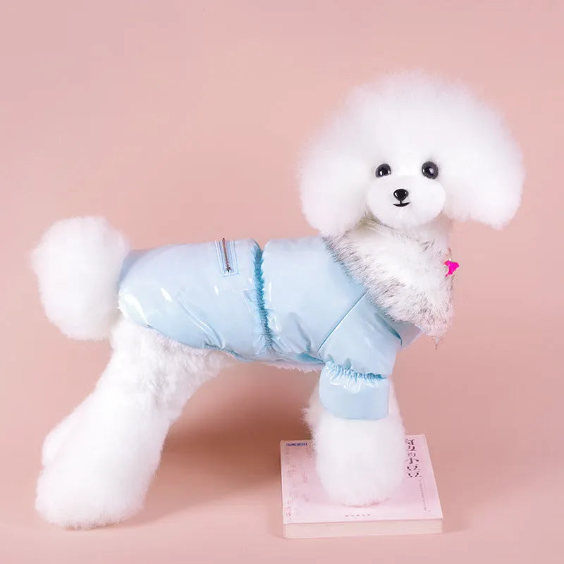 Blue British style cotton dog jacket for winter wear on medium-sized dog
