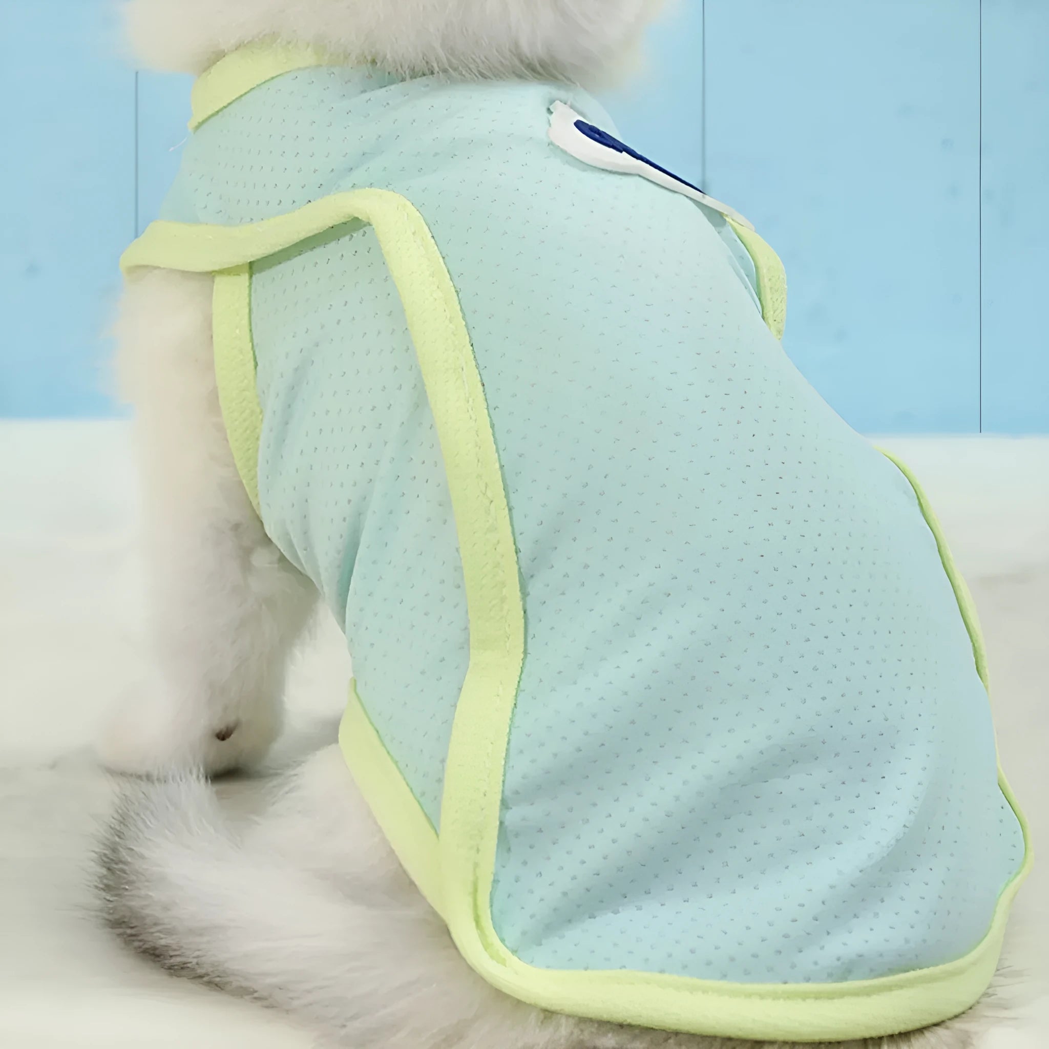 Grass green lightweight polyester vest for a cat, showing sporty design and front leg openings.
