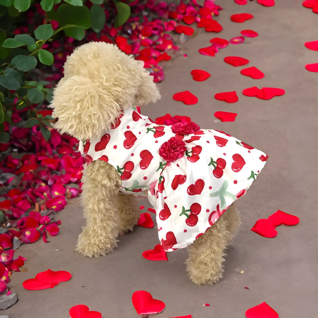 Creative Pet printed polyester skirt for dogs and cats in princess style, Pink Love Heart colour, front view
