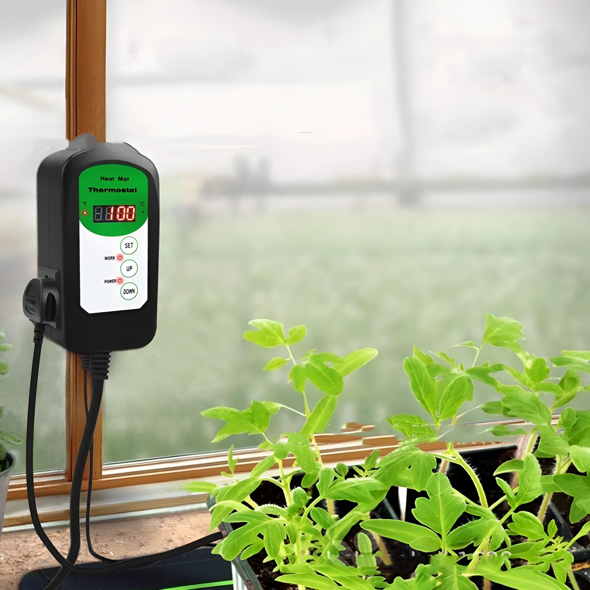 BH1912020 digital temperature and humidity controller unit with display showing readings