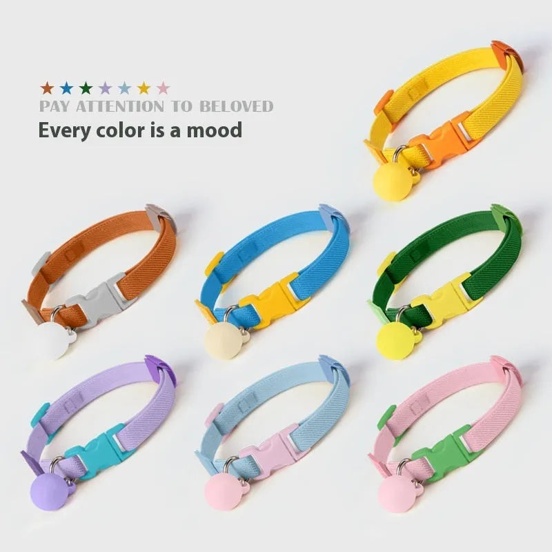 A small, high-elasticity polyester dog collar in a monochrome colour, showing the plastic buckle and adjustable strap.