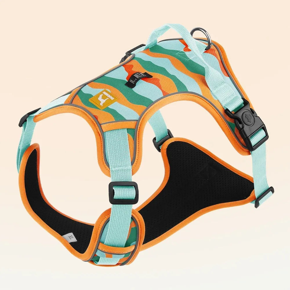 Orange dog harness with reflective strips and an integrated hand-holding rope on a dog's chest and back.
