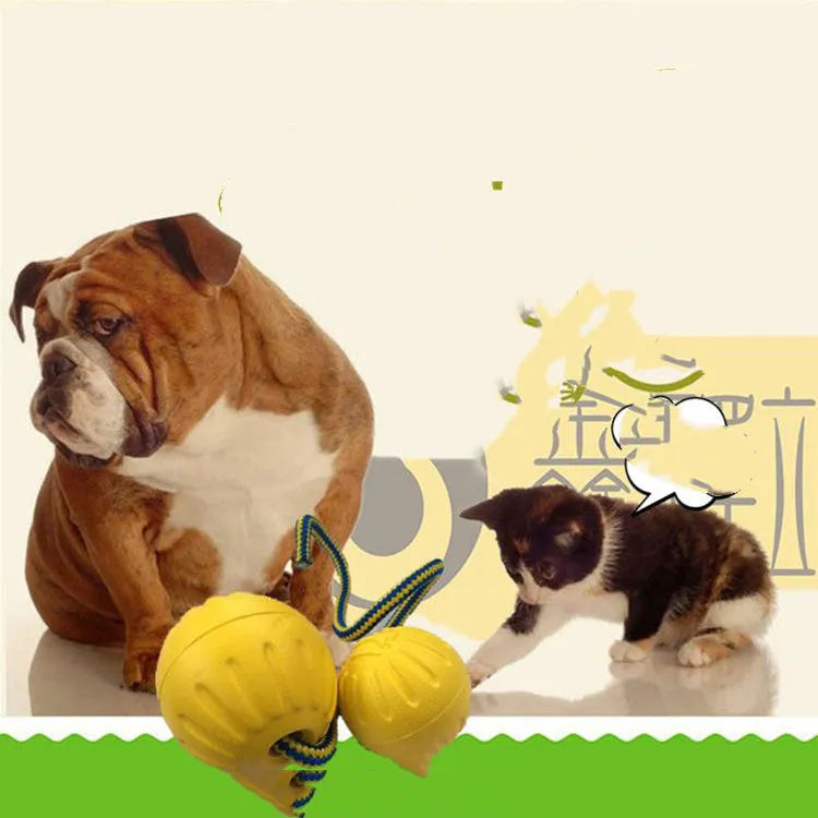 EVA floating dog training ball with rope in 7cm small size for puppy fetch and chew play