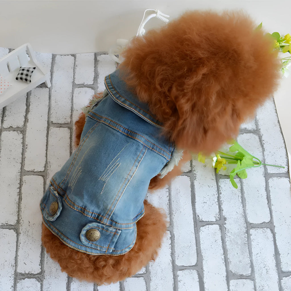 Denim dog vest with retro scratch pattern in dark and light colours for autumn winter wear