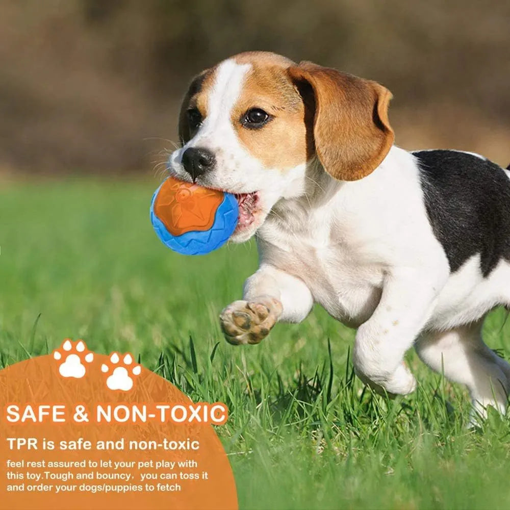 Set of three floating squeaky dog toys: a ball, barbell, and tyre on a blue background.